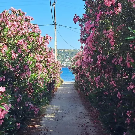 Marianna's Alinda, Leros Apartmán *